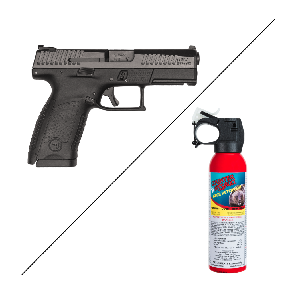 gun and bear spray