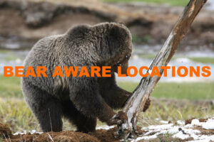 Bear spray rentals yellowstone grand tetons grizzly