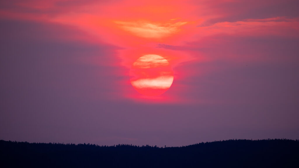 Yellowstone Natioank Park Sunset Bear Spray