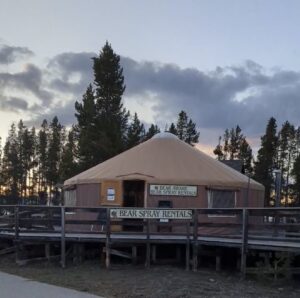 Bear aware yurt old faithful yellowstone national park grand teton