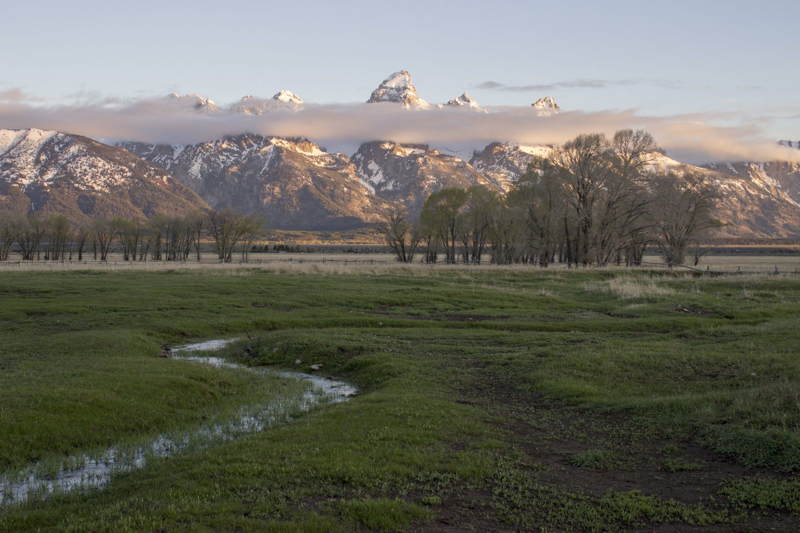 Early light on the Teton Range above a winding creek and green meadows