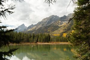Golden fall aspens below the jagged Teton Range, reflected in a calm alpine lake in Grand Teton National Park
